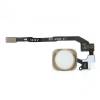 Home Button iPhone 5s Cable Tape - White Gold